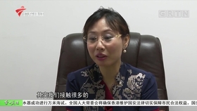 广州今日关注最新一期，城市脉搏的跃动风采