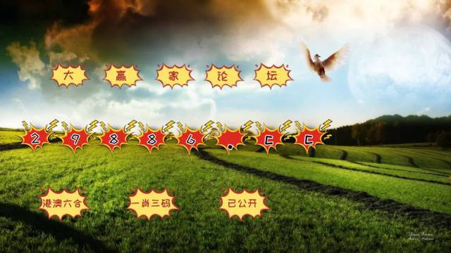 2024澳门六开奖结果出来,实时分析处理_动态版49.296