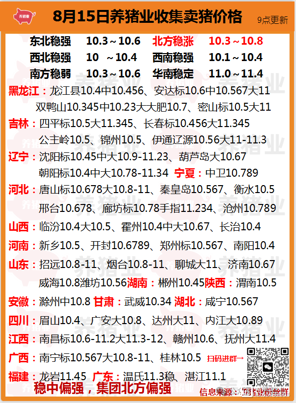 生猪今日最新报价及市场走势深度解析