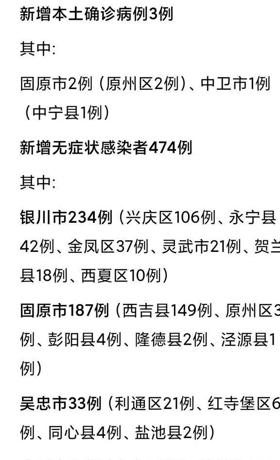宁夏最新疫情动态与小巷风情小店的独特故事