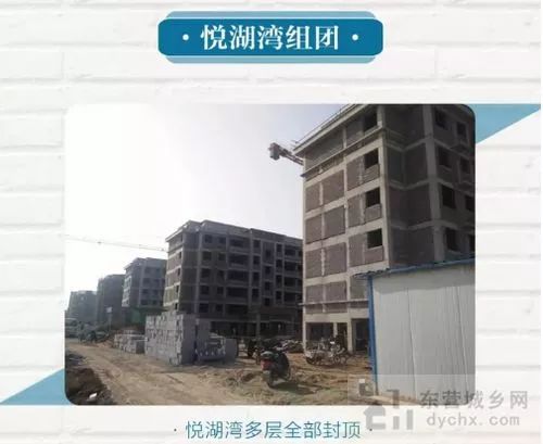 胜宏荣域最新动态揭秘，项目进展与未来展望